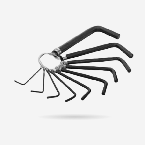 Wokin 10PCS HEX KEY SET ON RING , 208510